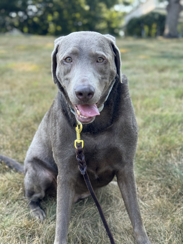 Dakota (Valley)