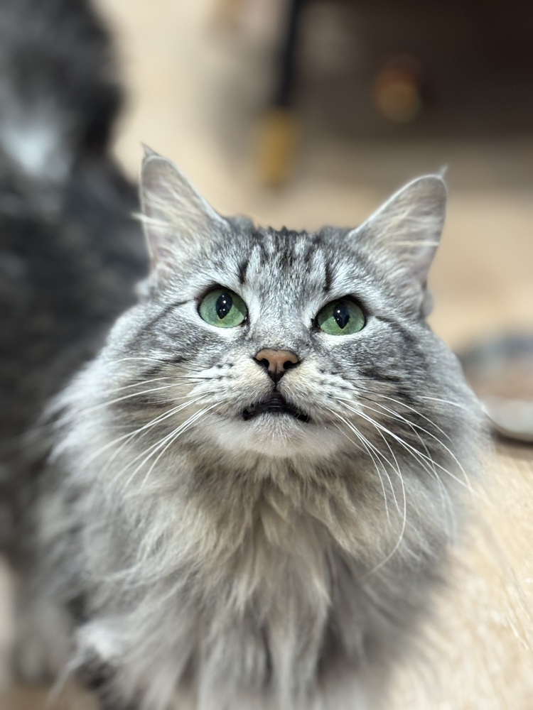 Fiona