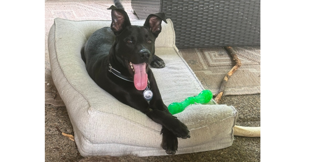 Vader