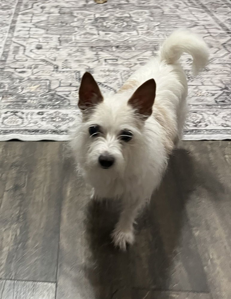 Bella~