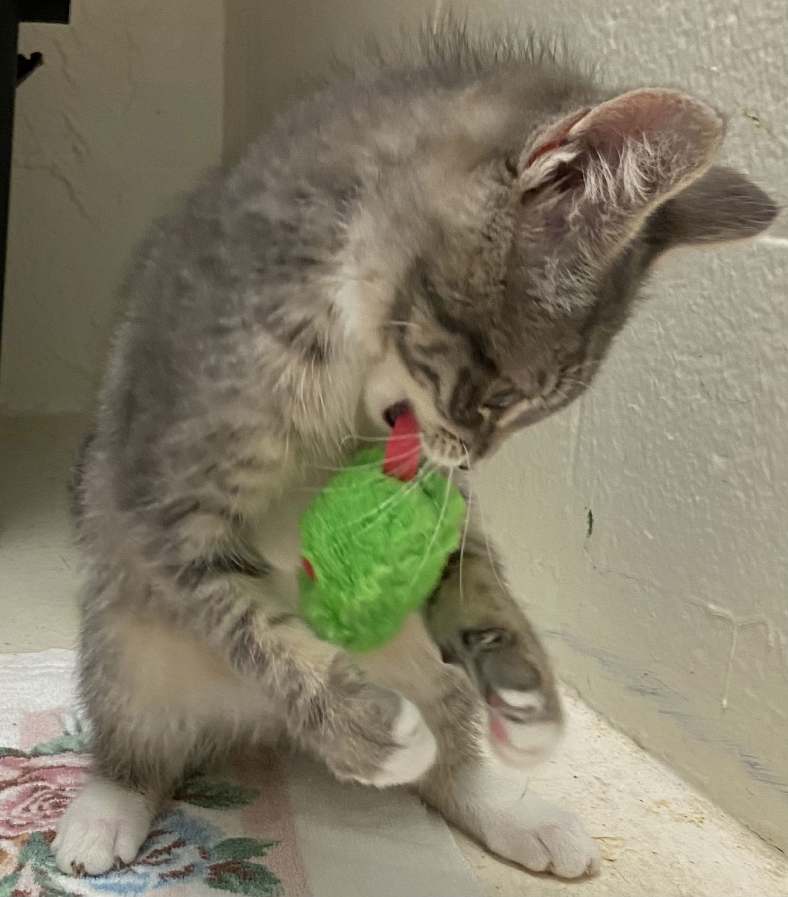 Warden: At shelter