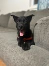 Hopper photo 2