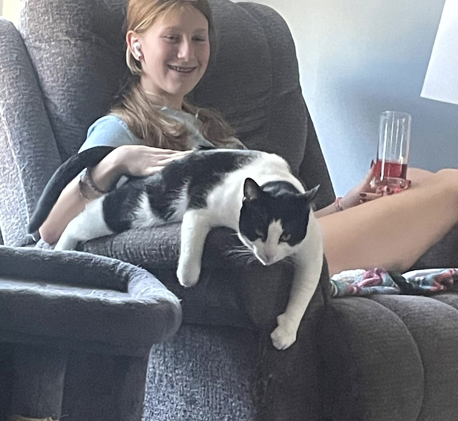 Marco, an adoptable Domestic Short Hair in Traverse City, MI, 49686 | Photo Image 2