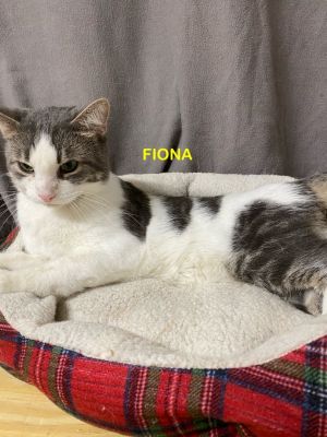 Fiona 25 2
