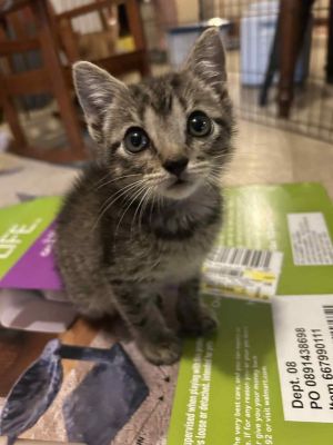 Tiny Tina