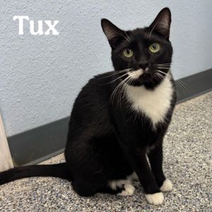 Tux, Adult Male unknown
