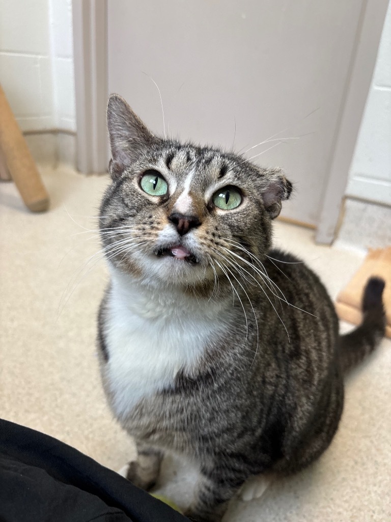 Eloise