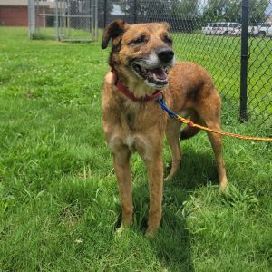 (Found) Rocco