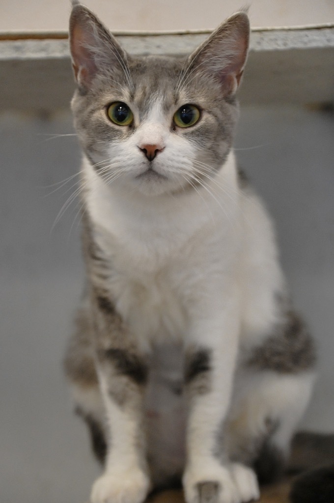 Zoe