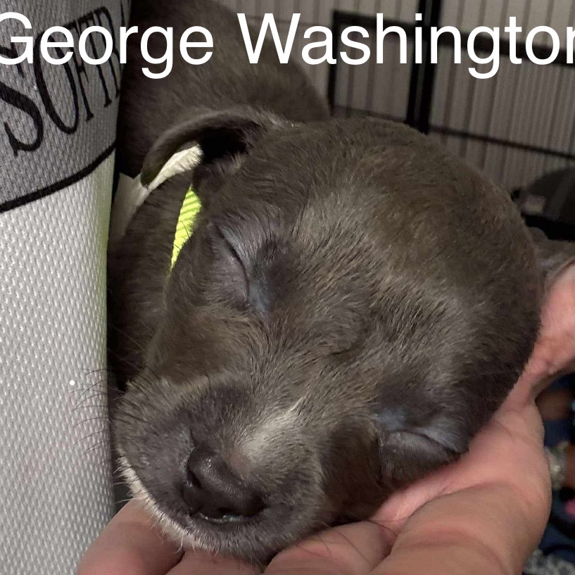 George Washington