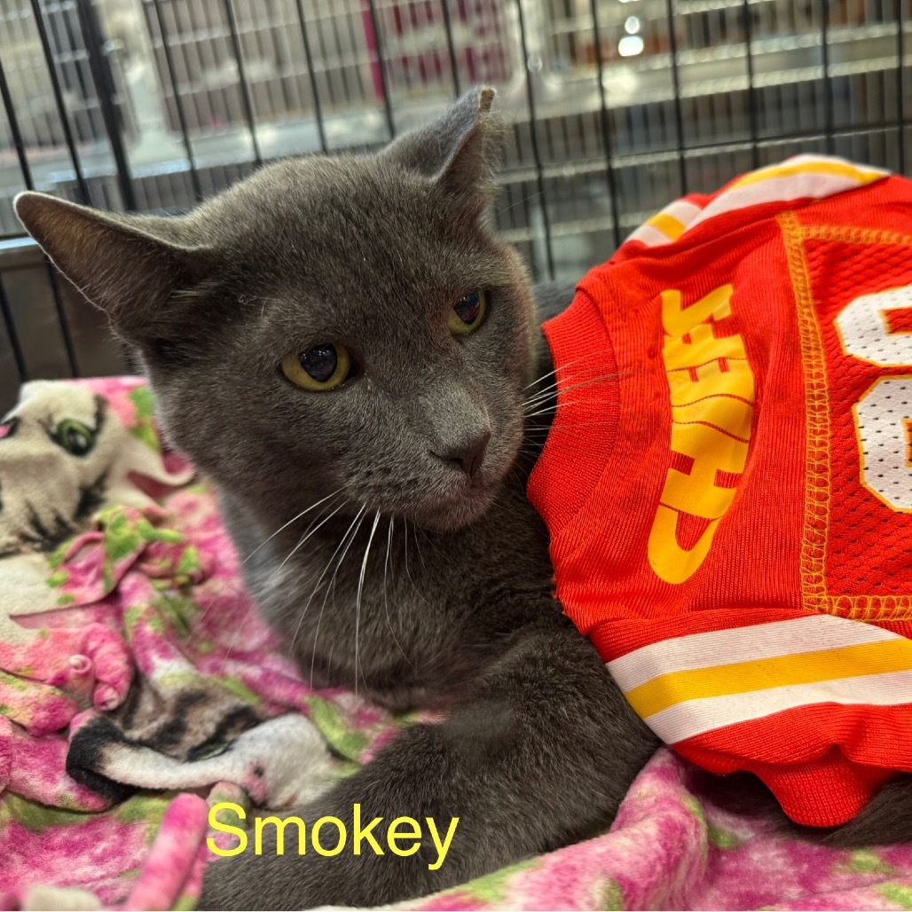 Smokey