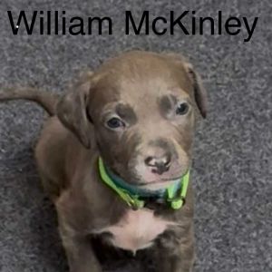 William McKinley, Baby Male unknown