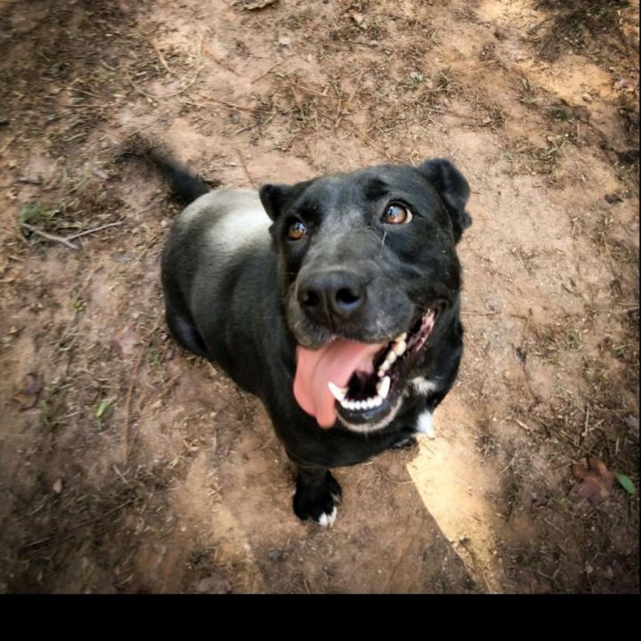 Loretta 4