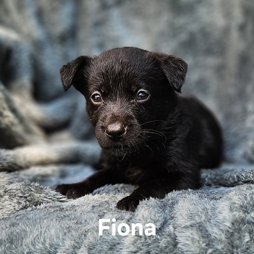 Fiona