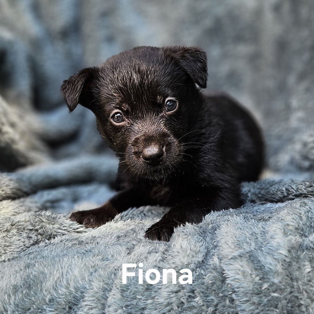 Fiona