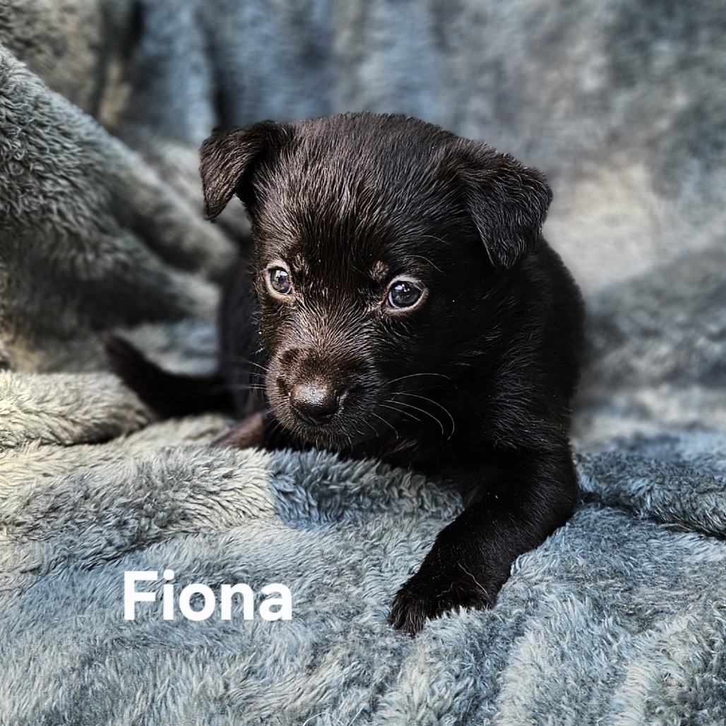 Fiona