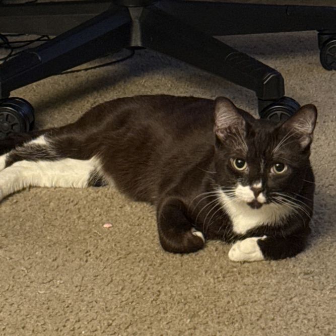 Henry