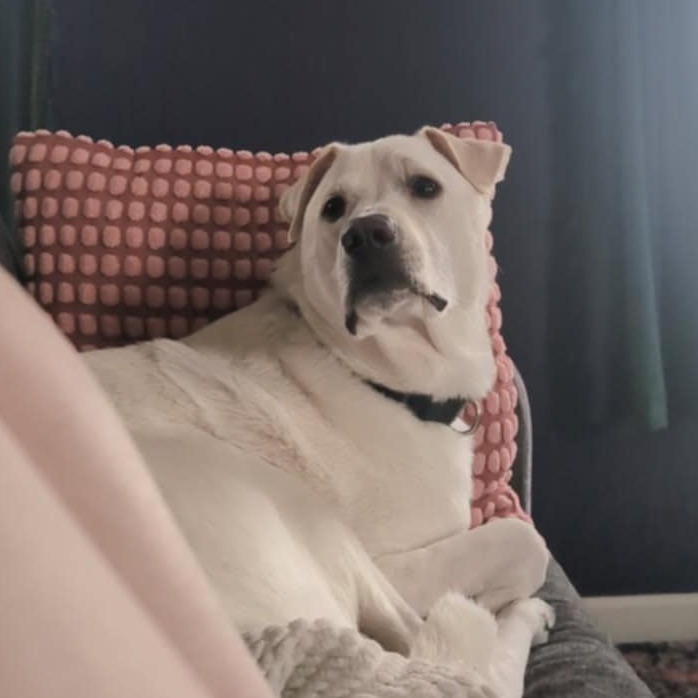 Polar