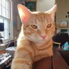 Jasper 2: Rise of the Doppelganger photo 2