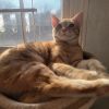 Jasper 2: Rise of the Doppelganger photo 3
