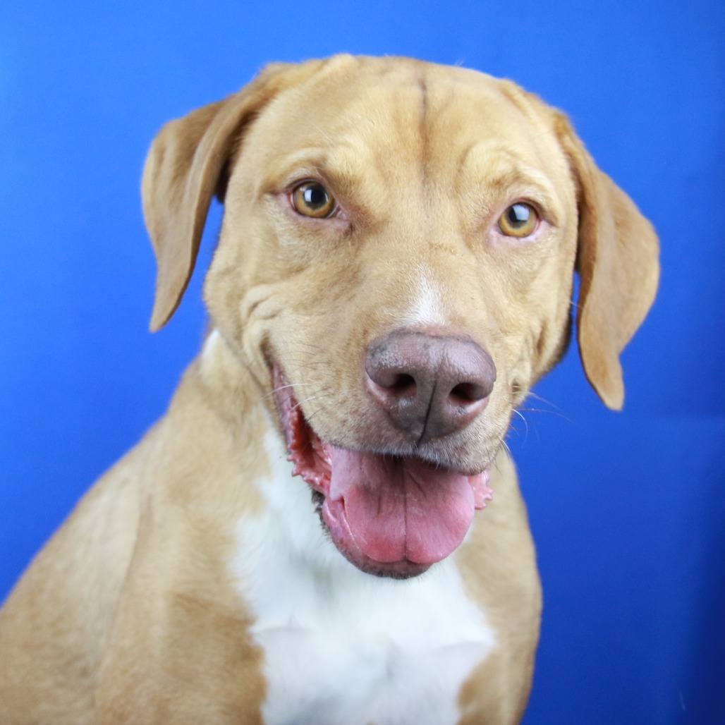 Annabelle - 070803T-3