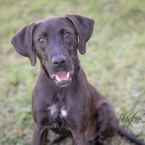 Nova, Young Female unknown