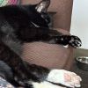 Artie photo 2