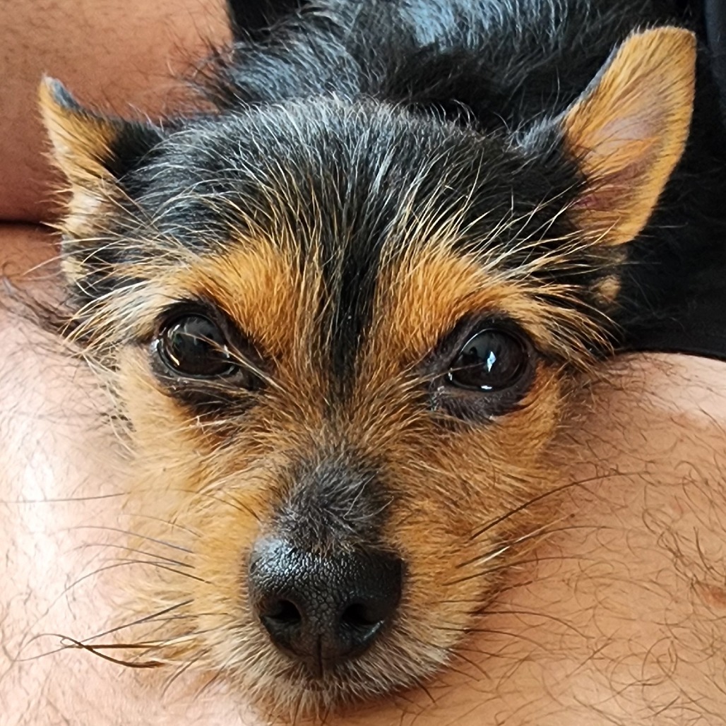 Spike