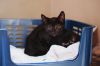 83616a Starsky- Dolittle`s West Ashley photo 3