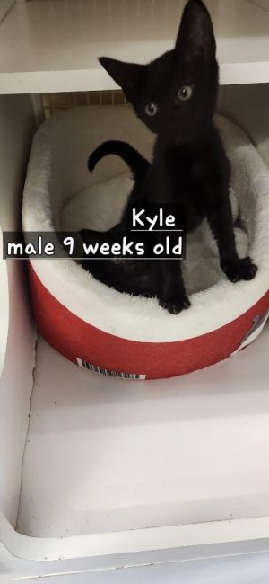 Kyle, Baby Male unknown