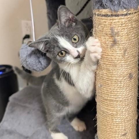 Ellie