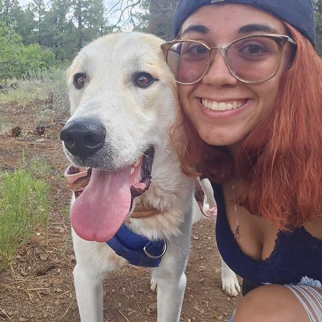 Mouse - adoptable livestock dog, needs home w/ another dog!