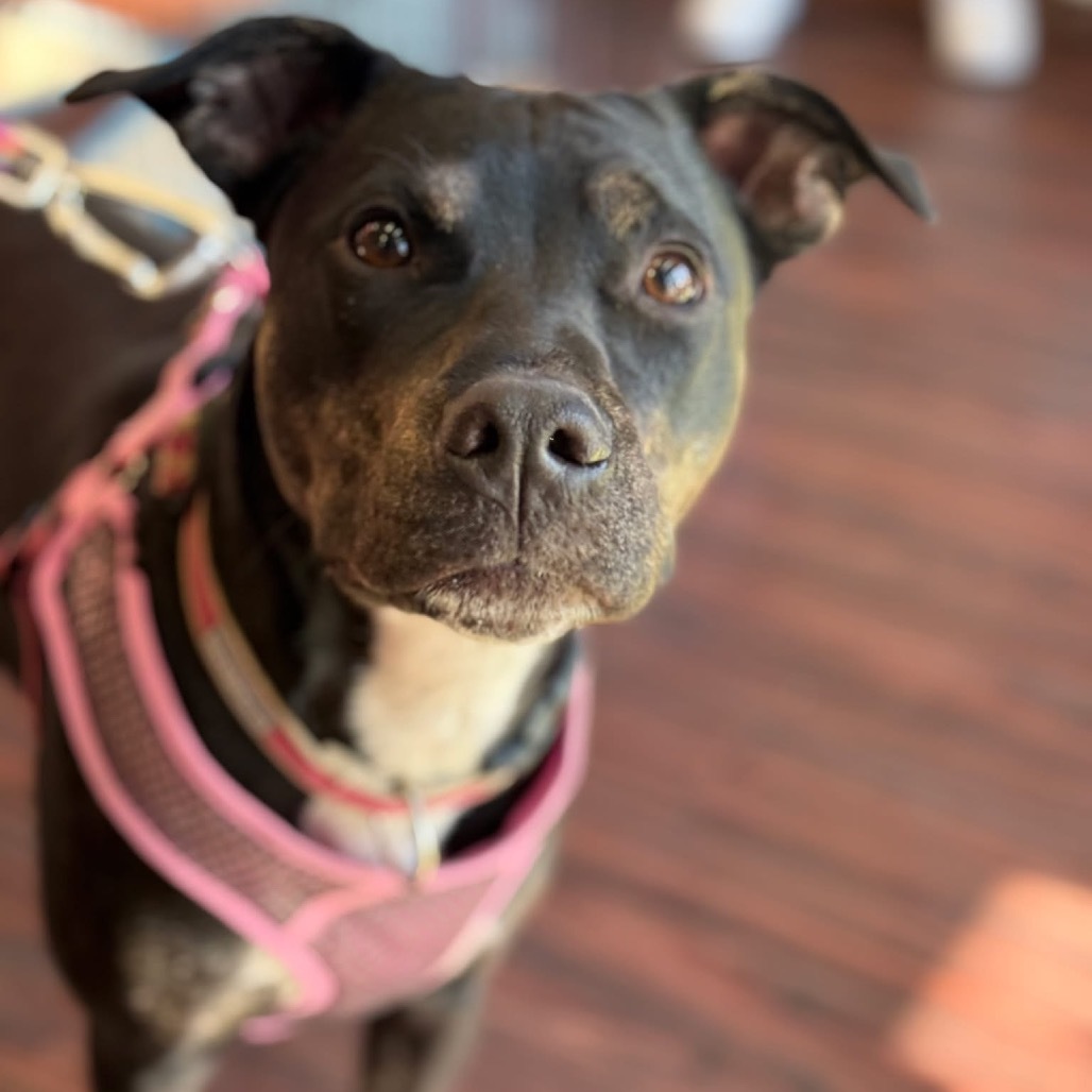 Millie