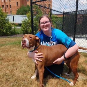 Photo of Copper