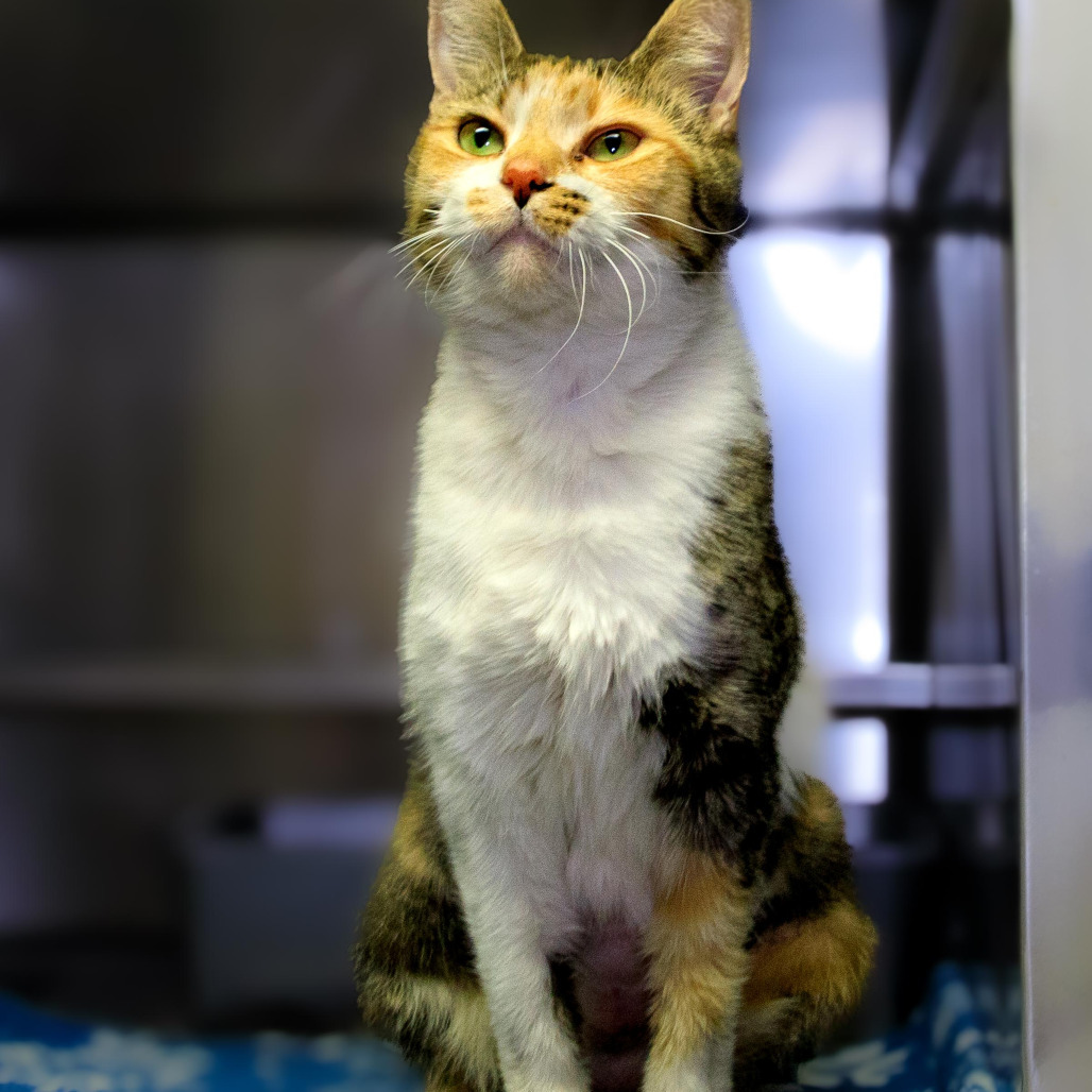 Appt. Pending - Tinkerbell