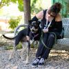 Mowgli photo 1