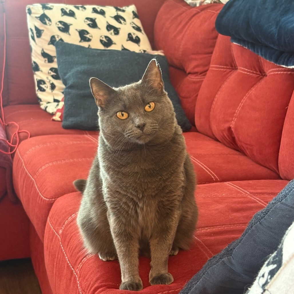 Charlotte (aka Mildred)