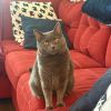 Charlotte (aka Mildred) photo 1