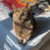 Charlotte (aka Mildred) photo 4
