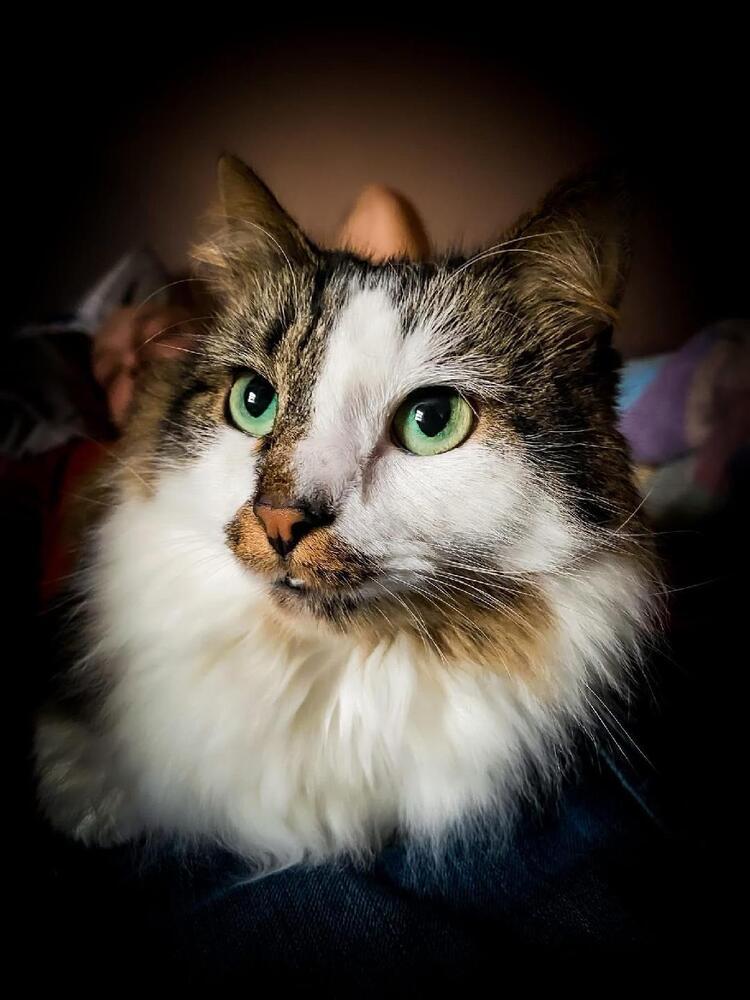 Sabrina