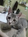 Jaspurr photo 2
