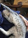 Jaspurr photo 3