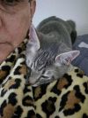 Jaspurr photo 4