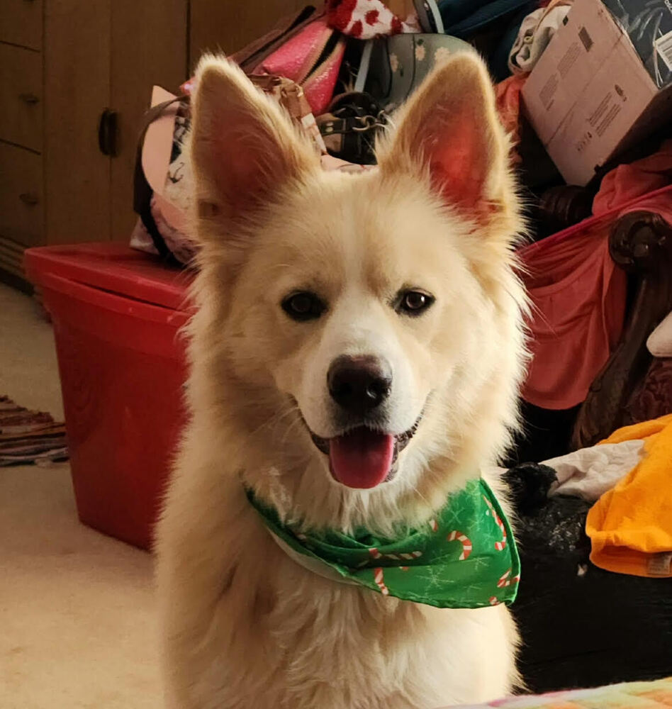 Gus