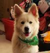 Gus photo 1