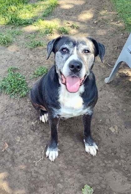 Kiya
