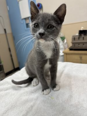 Hi there Im Mr Bubbles I might be small but Im bubbling with personality At just 3 months old