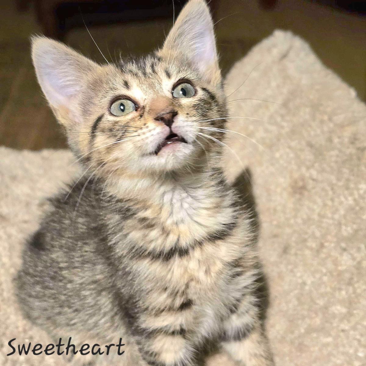 Sweetheart