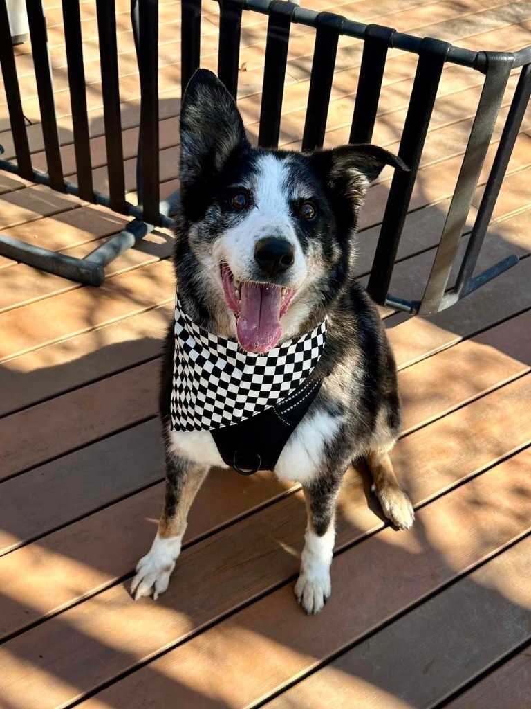 Sherman