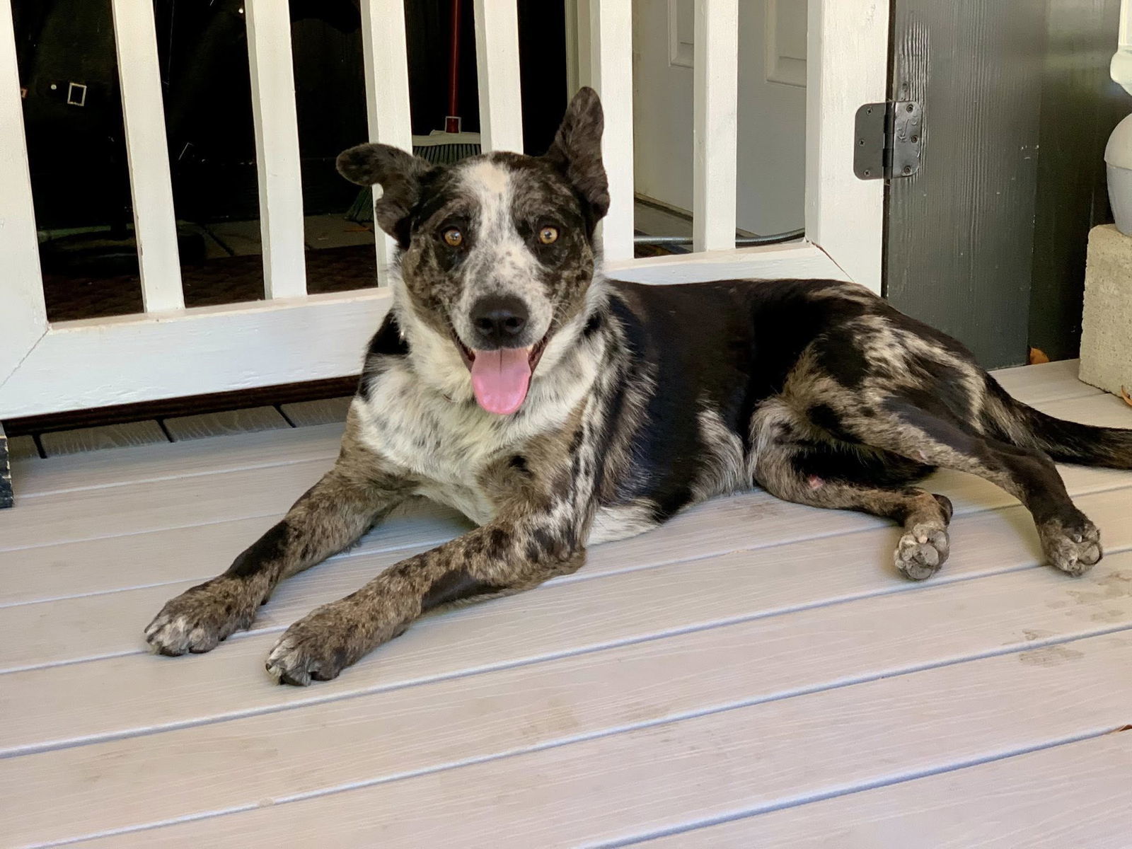 Otis